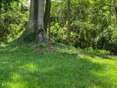Terreno de 7.500 m² en venta en San Bernardino, Cordillera 4
