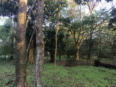 Terreno de 7.708 m² en Barrio Aquino, Cañada Caacupé 2