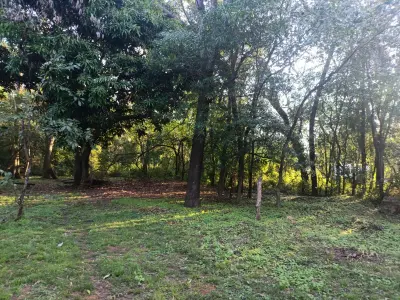 Terreno de 7.708 m² en Barrio Aquino, Cañada Caacupé 3