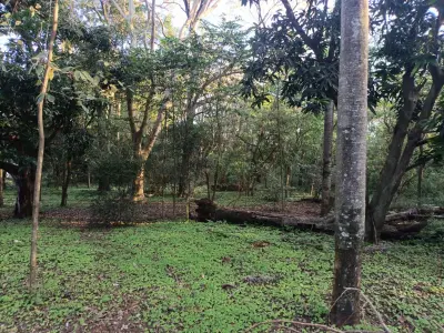 Terreno de 7.708 m² en Barrio Aquino, Cañada Caacupé 4