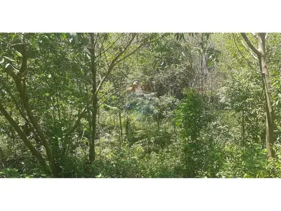 8-hectare land for sale in Altos, Cordillera 3