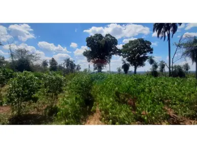 8-hectare land for sale in Altos, Cordillera 4