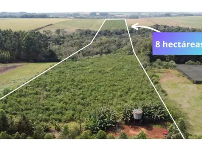 Terreno de 8 hectares à venda em Natalio, Itapúa 2