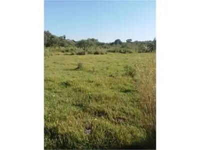 Terreno de 9 hectáreas en venta en Coronel Bogado 2