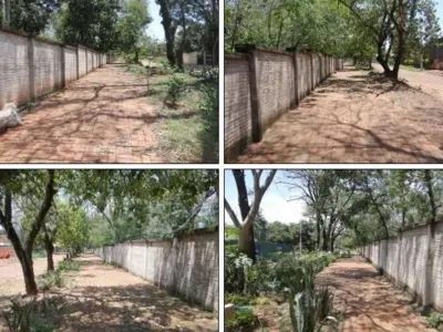 Nearly 3-hectare land for sale in Lote Guazú, San Lorenzo 4