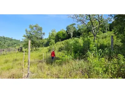 Terreno de quase 6 hectares à venda em Jesús, Itapúa 4