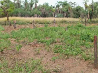 Terreno de media hectárea en venta en el centro de Itauguá 2