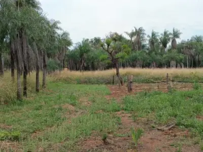 Terreno de media hectárea en venta en el centro de Itauguá 3