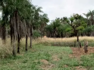 Terreno de media hectárea en venta en el centro de Itauguá 4