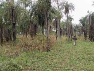 Terreno de media hectárea en venta en el centro de Itauguá 5