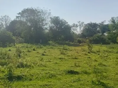 Double lot for sale in Pirayú, Paraguarí 3