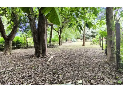 Terreno para alugar de 555 m² em Cambyretá, Itapúa 3