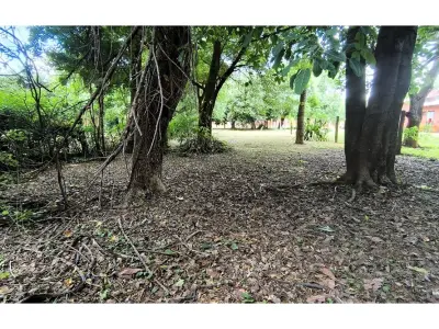 Terreno para alugar de 555 m² em Cambyretá, Itapúa 4