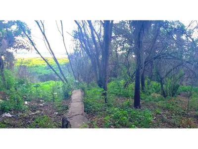 Terreno para alugar em Caacupemí, Mariano Roque Alonso 4