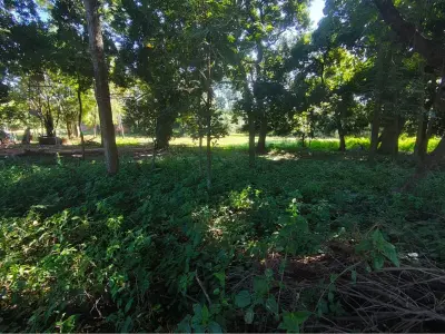 Terreno para alugar em Capiatá, Central 3