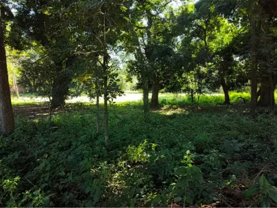 Terreno para alugar em Capiatá, Central 4