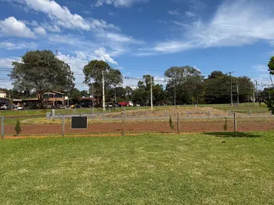 Terreno para alugar em Hohenau, Itapúa 4
