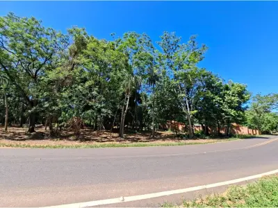 Terreno para alugar em Villa Real, San Bernardino 4