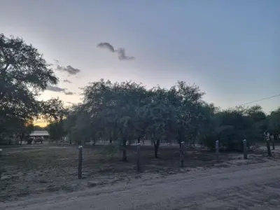 Terreno en alquiler sobre doble Avenida Emanuel, Loma Plata 4