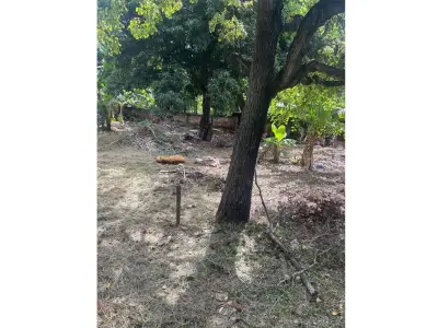 Terreno en venta en Caacupé 2