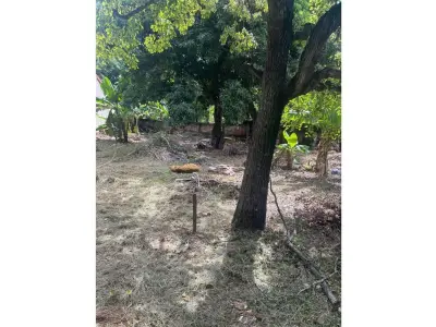 Terreno en venta en Caacupé 5