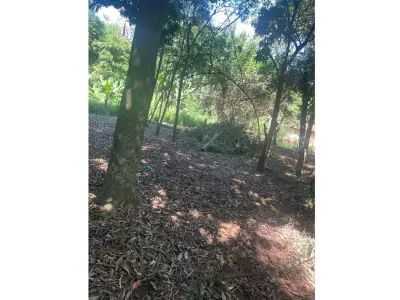 Terreno en venta en Caacupé 2