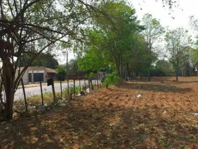8,139 m² Corner Plot for Sale in Los Nogales, San Lorenzo 2