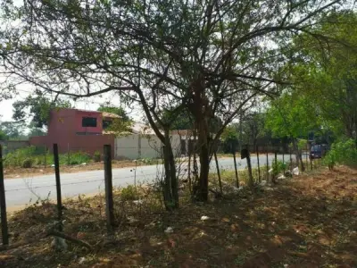 8,139 m² Corner Plot for Sale in Los Nogales, San Lorenzo 3