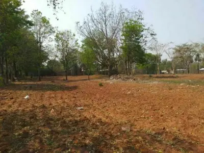 8,139 m² Corner Plot for Sale in Los Nogales, San Lorenzo 4