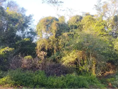 Terreno de esquina à venda em Luque, Itapuamí III 4