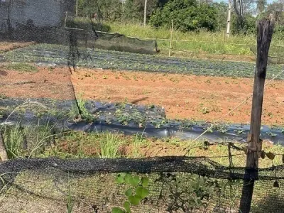 Terreno en esquina en venta, Zona Estación Terrena, Areguá 2