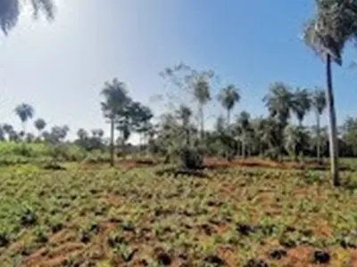 Terreno à venda com 15 lotes em Ñu Po'i, Itauguá 3