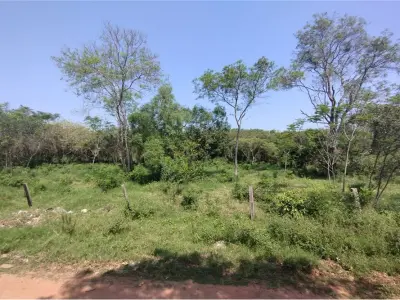 Terreno en venta con arroyo en Eusebio Ayala, Cordillera 3