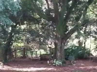 Terreno à venda com construção para reformar em Ybycuí 3