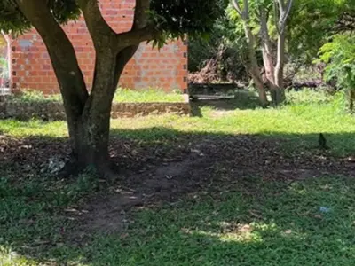 Terreno à venda com construção em Limpio, Isla Aveiro 2