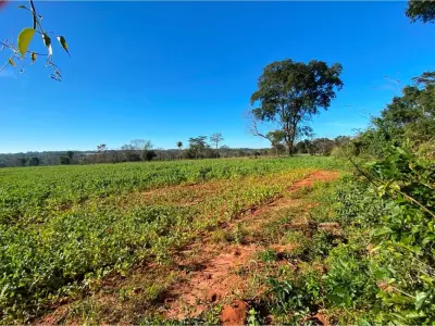Land for sale, 10.7 hectares in Choré, San Pedro 4
