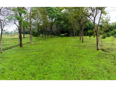 Terreno en venta de 11 hectáreas en Eusebio Ayala 3