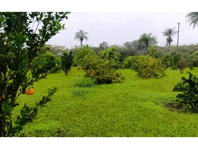Terreno en venta de 11 hectáreas en Eusebio Ayala 4