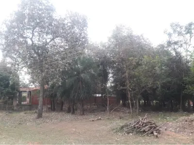 Terreno en venta de 1240 m² sobre ruta en Emboscada 3