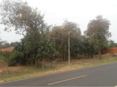 Terreno en venta de 1240 m² sobre ruta en Emboscada 4
