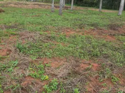 Terreno de 14.000 m² à venda em Itá, Central 2