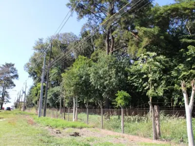 Land for sale: 18 hectares in Minga Guazú, Alto Paraná 4