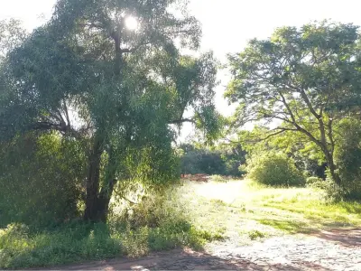 Land for sale, 2,000 m², in Coronel Bogado, Itapúa 4