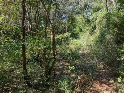 Terreno à venda de 2.084 m² em Kokue Guasu, Areguá 2