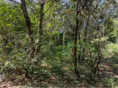 Terreno à venda de 2.084 m² em Kokue Guasu, Areguá 3