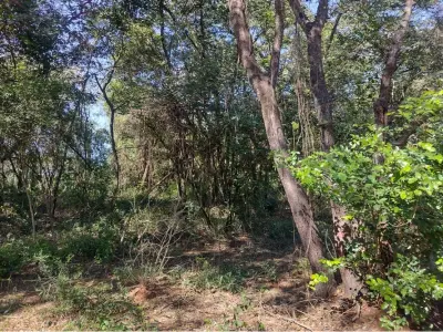 Terreno à venda de 2.084 m² em Kokue Guasu, Areguá 4