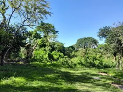 Land for sale with 3,256 m² in Rojas Cañada, Capiatá 4