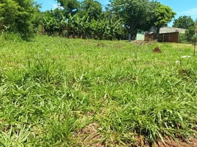 Terreno à venda de 360 m² no KM 8 Acaray, Ciudad del Este 5