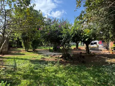 Terreno en venta de 360 m² en Minga Guazú, Calle 14 Monday 2