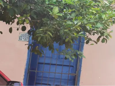 Terreno à venda de 360 m² em San Lorenzo, Central 3